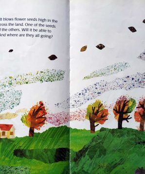 Alternative view of The tiny seed