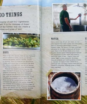 Alternative view of The ultimate book of beers