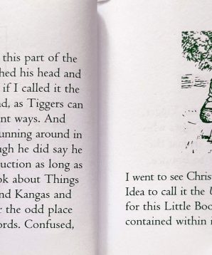 Alternative view of Tigger's little book of bounce