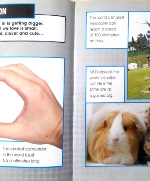 Alternative view of Top 10 smallest