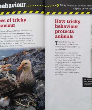 Alternative view of Animal attack and defence: tricky behaviour