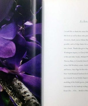 Alternative view of Tropical flowers