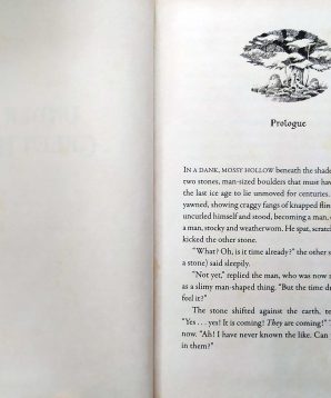 Alternative view of Under the green hill