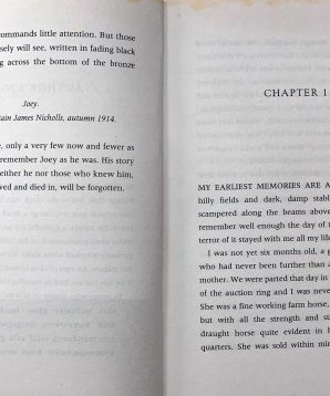 Alternative view of War horse