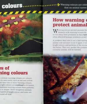 Alternative view of Animal attack and defence: warning colours