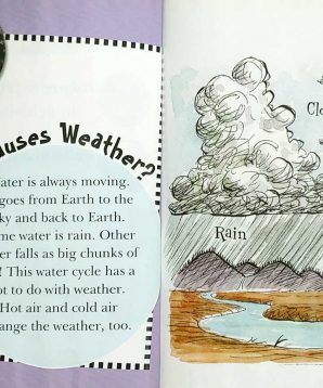 Alternative view of Weird but true weather