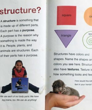 Alternative view of What are natural structures?