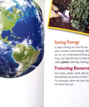 Alternative view of What in the world is a green garden?