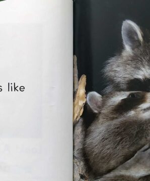 Alternative view of Who do I look like: a book about animal babies