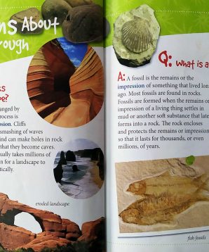 Alternative view of Why do volcanoes erupt?