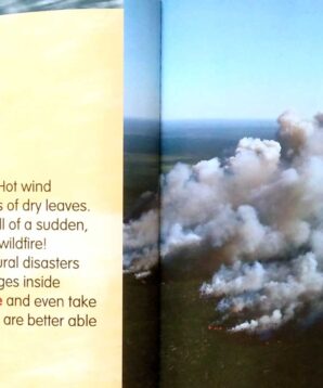 Alternative view of Natural disasters: wildfires