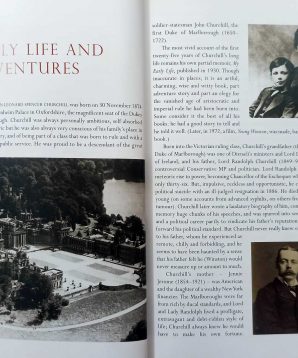 Alternative view of Winston Churchill