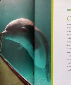 Alternative view of Winter's tail