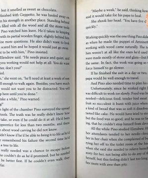 Alternative view of Wooden bones