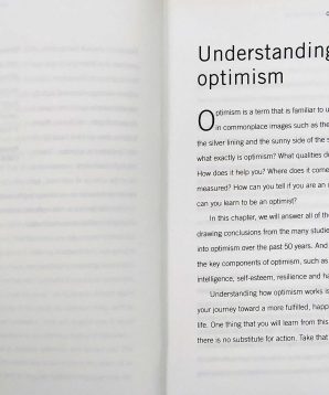 Alternative view of You can be an optimist