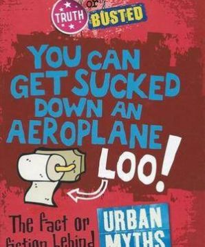You can get sucked down an aeroplane loo