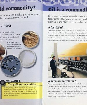 Alternative view of World commodities: oil