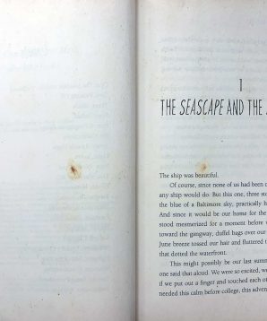 Alternative view of Alice on board