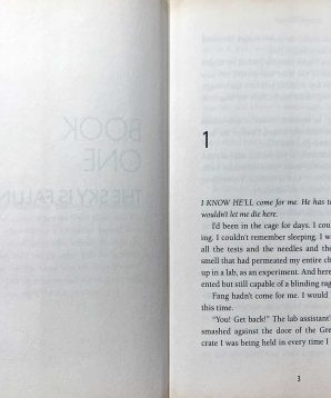 Alternative view of Angel