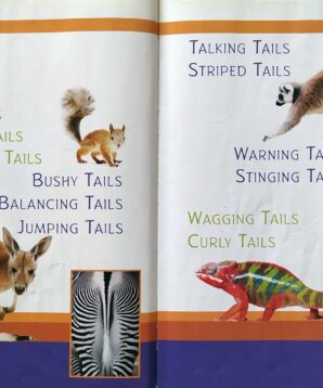 Alternative view of Animal tails