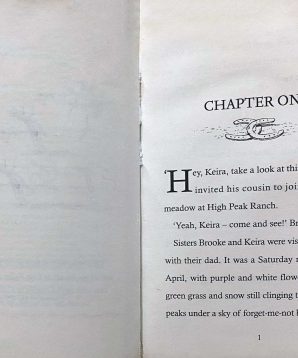 Alternative view of Black Pearl ponies: Stormcloud