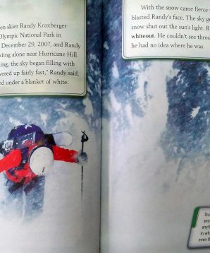 Alternative view of Blitzed by a blizzard