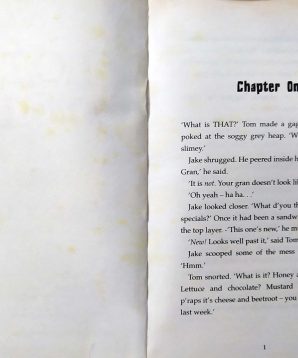 Alternative view of Loose connections