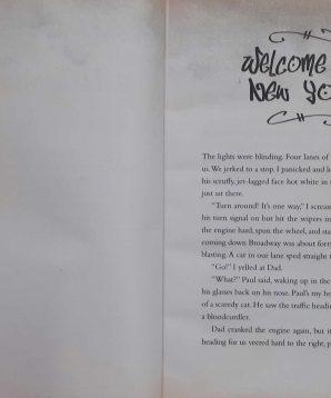 Alternative view of Mac Slater versus the city