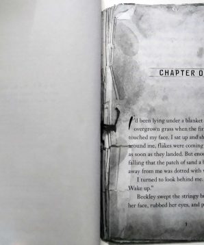 Alternative view of Pig city