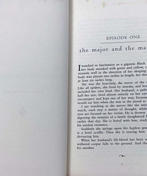 Alternative view of Susanna's seven husbands