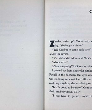 Alternative view of The Cruisers: a star is born