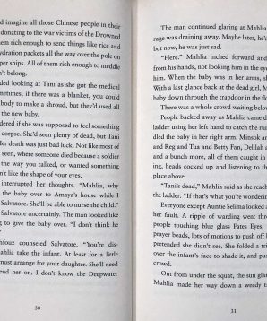 Alternative view of The drowned cities