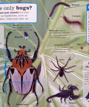 Alternative view of Ask a bug