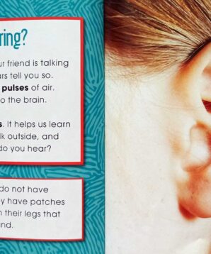 Alternative view of Hearing