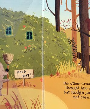 Alternative view of Hodge the hedgehog