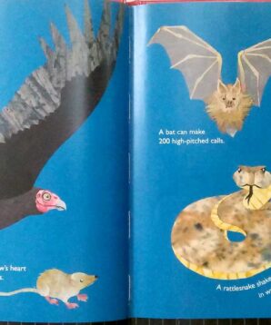 Alternative view of Just a second