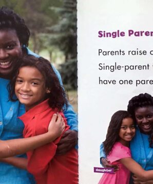 Alternative view of Single parent families