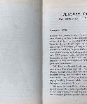 Alternative view of Special ops: dead or alive