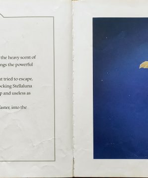 Alternative view of Stellaluna