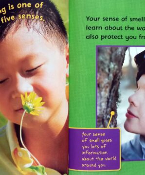 Alternative view of What is smell?