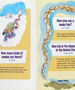 Alternative view of What's inside a rattlesnake's rattle?