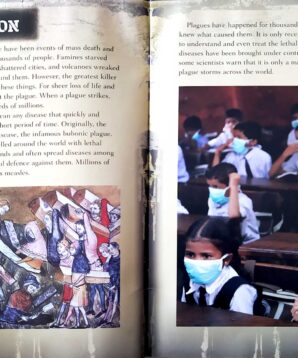 Alternative view of Plagues