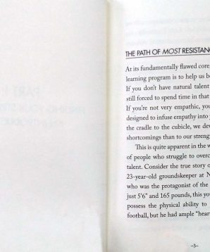 Alternative view of Strengths finder 2.0