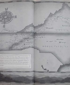 Alternative view of A dog's way home