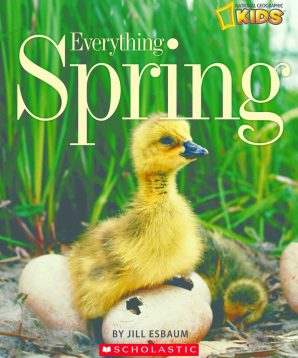 Everything spring