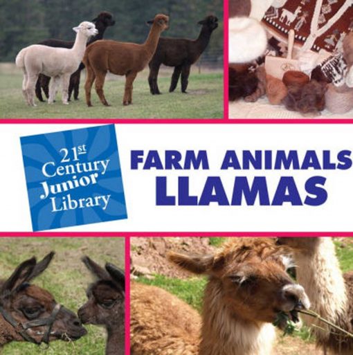 Farm animals: llamas