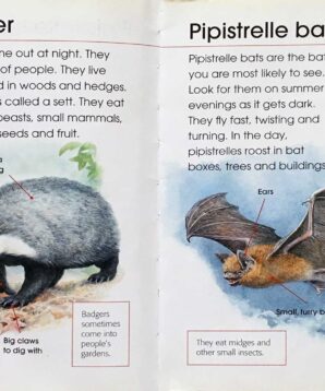 Alternative view of First book of mammals