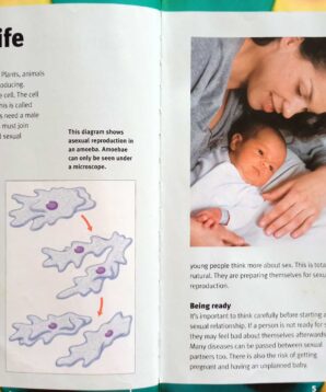 Alternative view of How we grow and reproduce