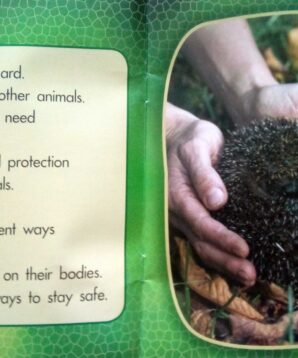 Alternative view of Animal armour