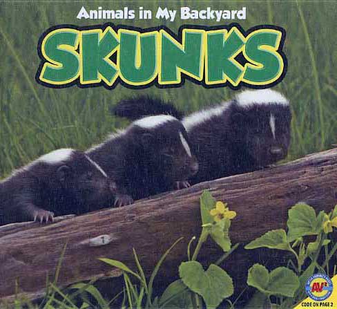 Animals in my backyard: skunks – Lotus Community Library – Library For  Families
